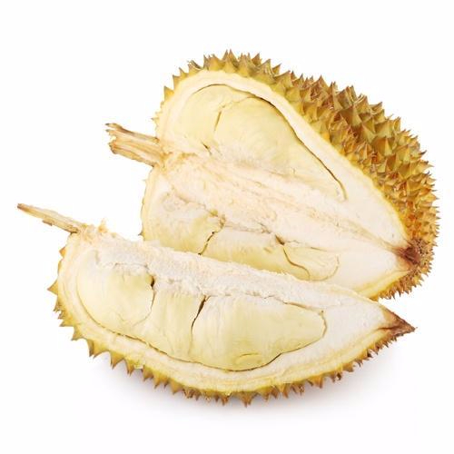 开云体育投注产品名称二